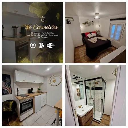 Le Petit Triplex Des Carmelites -coeur Historique Appartement *
