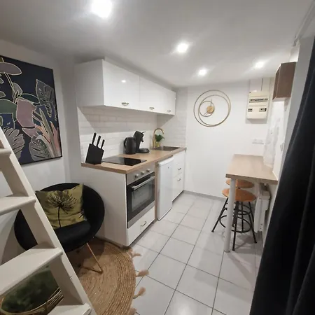 Le Petit Triplex Des Carmelites -coeur Historique *